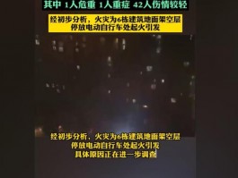 网友拍下南京着火高层住户喊救命