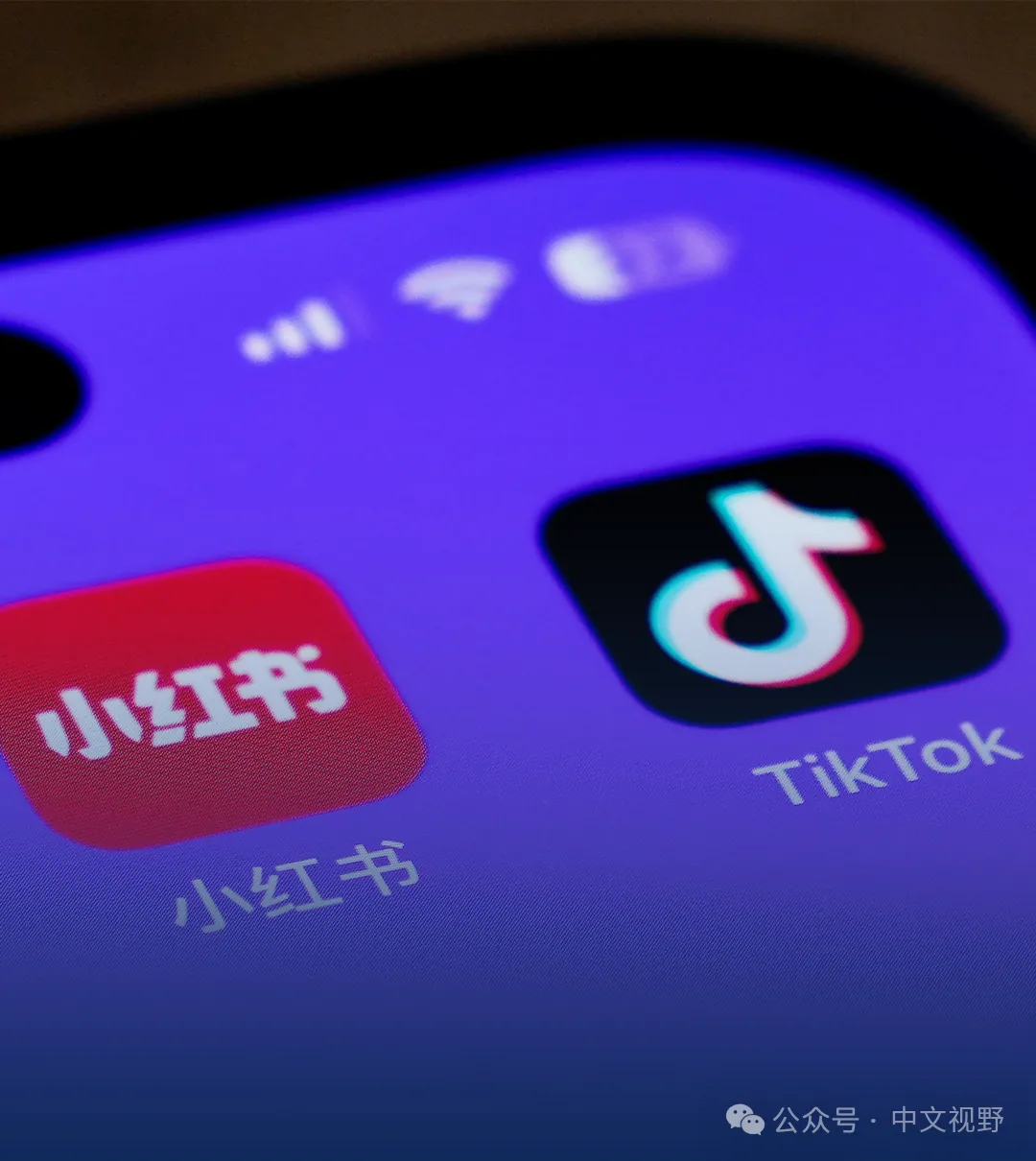 要出售给马斯克？TikTok否认 小红书意外爆火