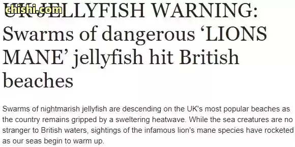 英国著名白崖海岸出大事！自驾客连人带车掉下90米悬崖坠海，车毁人亡 第20张