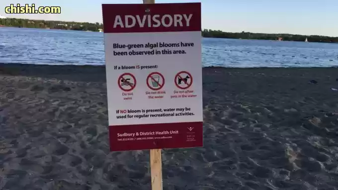 英国著名白崖海岸出大事！自驾客连人带车掉下90米悬崖坠海，车毁人亡 第22张