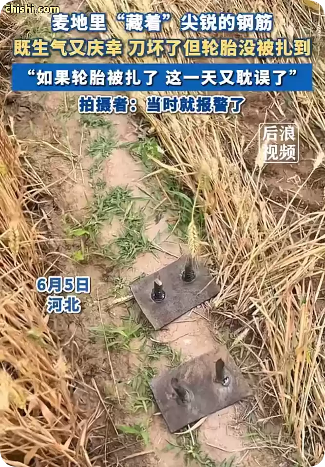 邯郸麦地插钢钉后续：农户曝光内幕，官方回应发通告，有人睡不着了 第1张